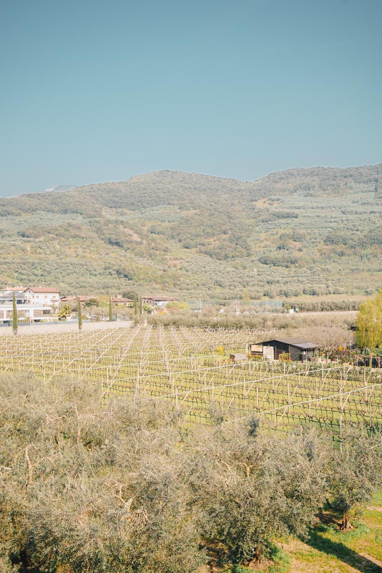 Appartamento Betulla - Peaceful & Happy Stay Riva Zewnętrze zdjęcie